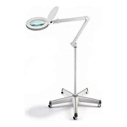 Widen + LED Magnifying Lamp