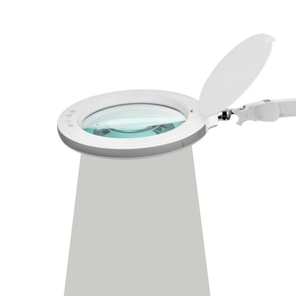 Widen + LED Magnifying Lamp